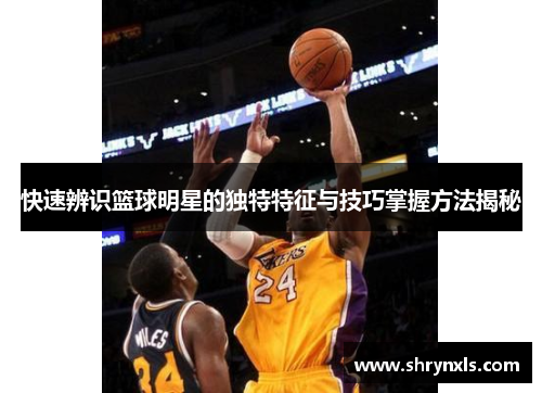 快速辨识篮球明星的独特特征与技巧掌握方法揭秘